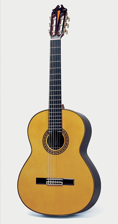 Hernandez ‘Luthier’ Wood Lattice with carbon